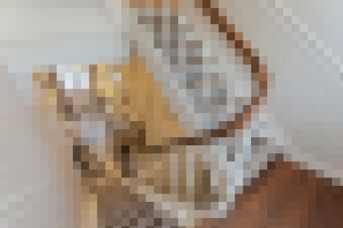 Arendonk 37 Amersfoort thumbnail 33
