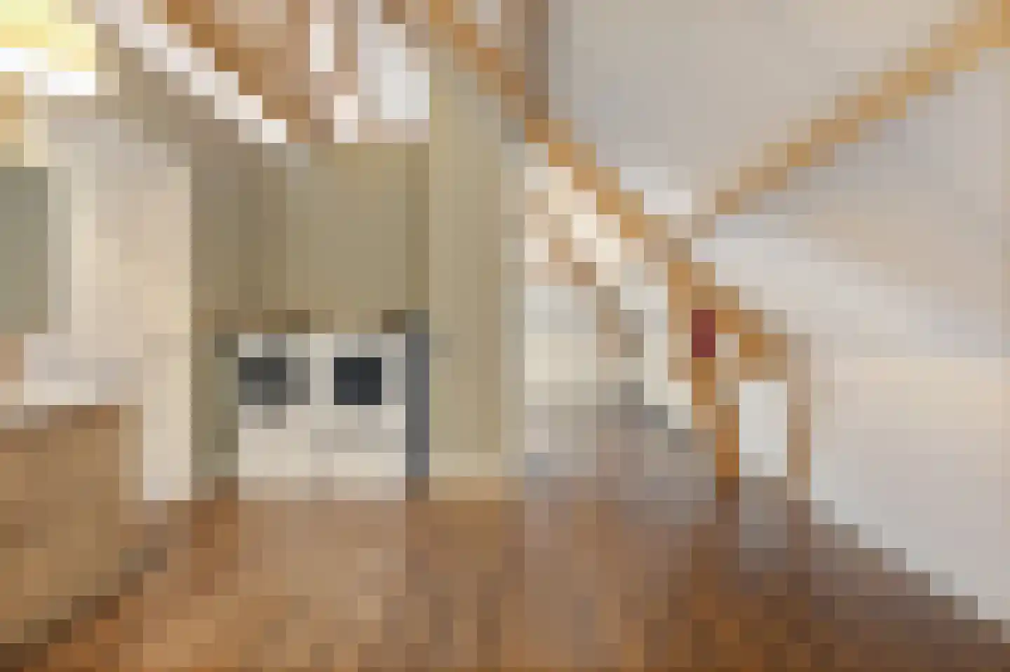 Arendonk 37 Amersfoort thumbnail 42