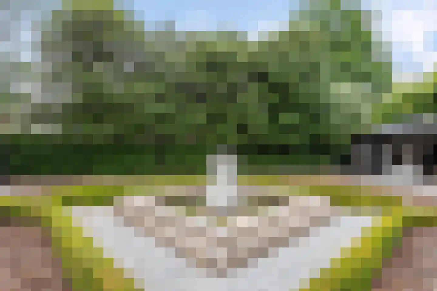Arendonk 37 Amersfoort thumbnail 50