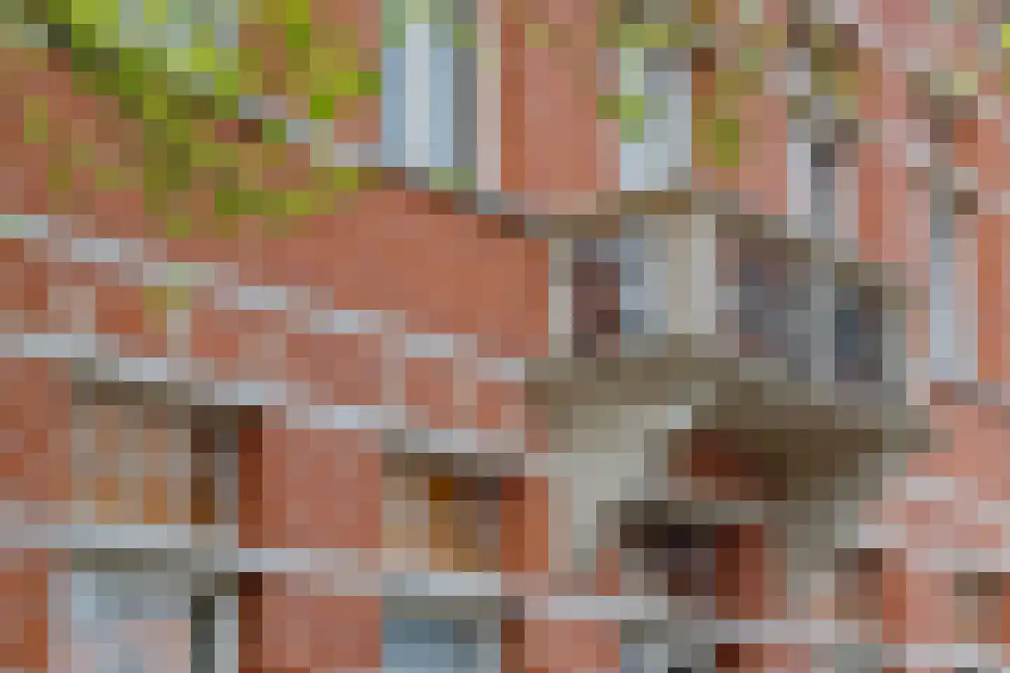 Arendonk 37 Amersfoort thumbnail 56