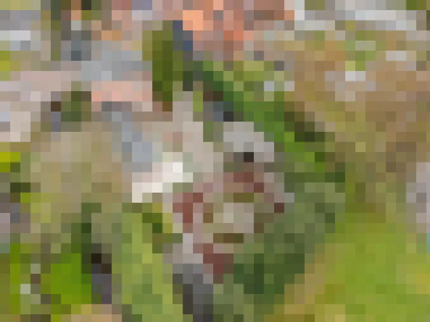Arendonk 37 Amersfoort thumbnail 57