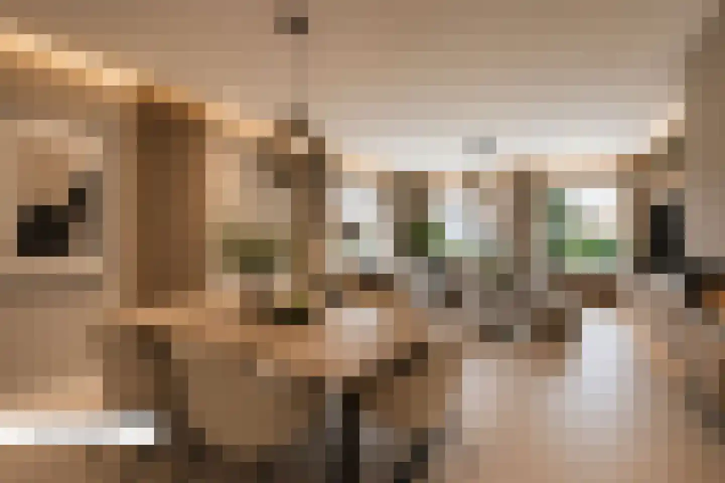 Arendonk 6 Amersfoort thumbnail 11