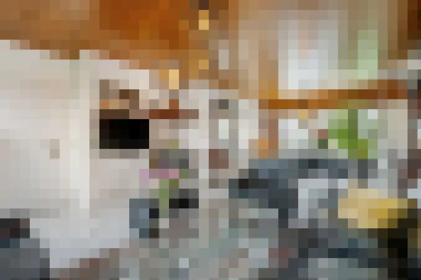 Arendonk 6 Amersfoort thumbnail 14