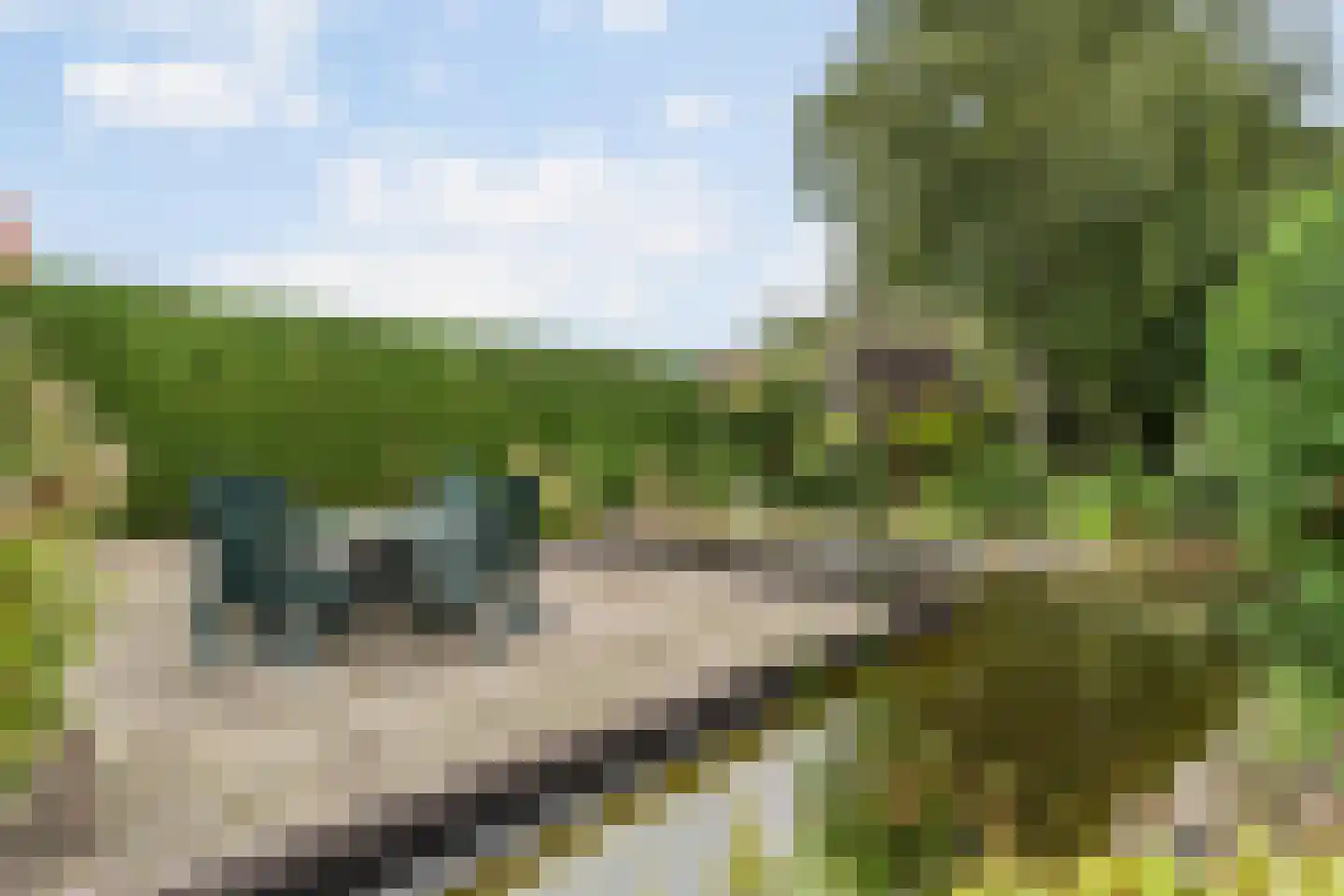 Arendonk 6 Amersfoort thumbnail 28