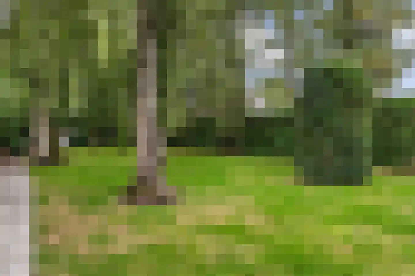 Arendonk 6 Amersfoort thumbnail 29