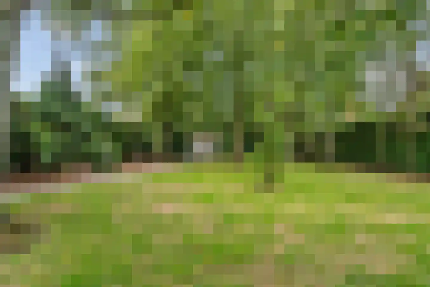 Arendonk 6 Amersfoort thumbnail 30