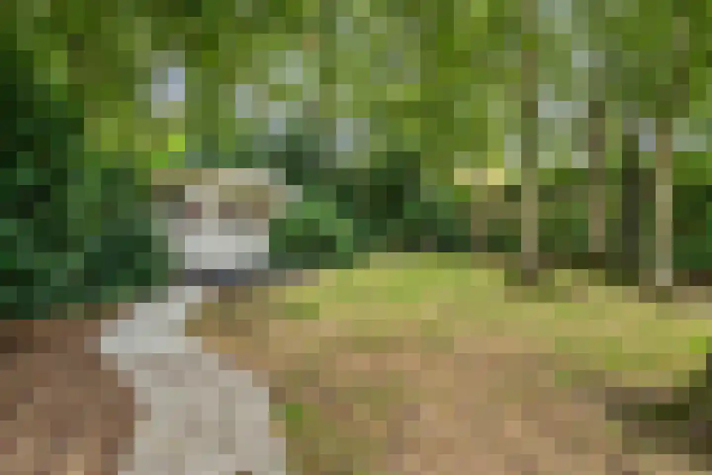 Arendonk 6 Amersfoort thumbnail 31
