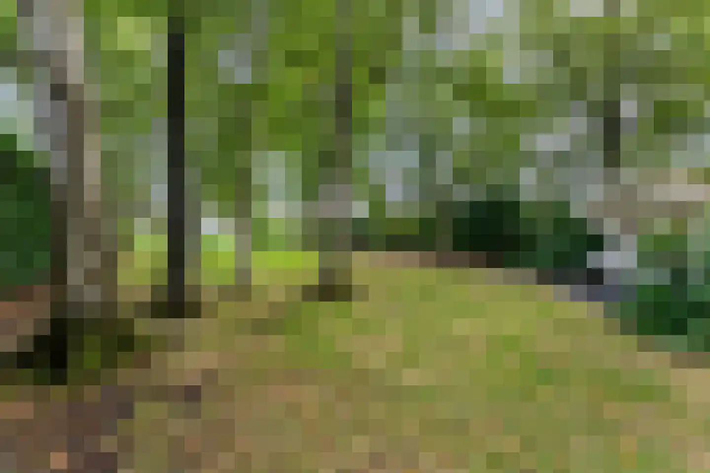 Arendonk 6 Amersfoort thumbnail 32