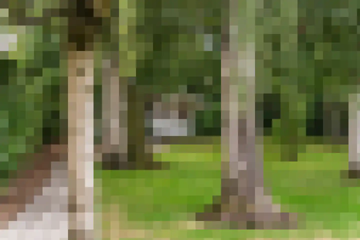 Arendonk 6 Amersfoort thumbnail 33