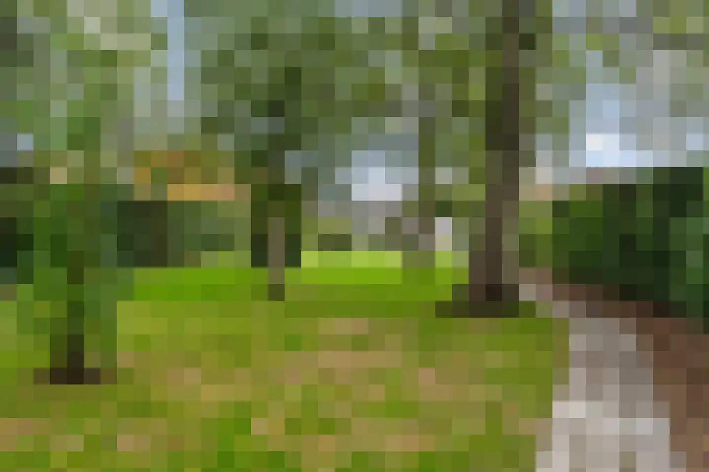 Arendonk 6 Amersfoort thumbnail 5