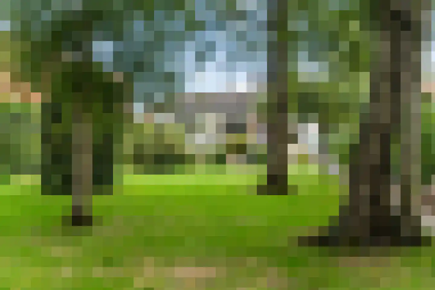 Arendonk 6 Amersfoort thumbnail 6
