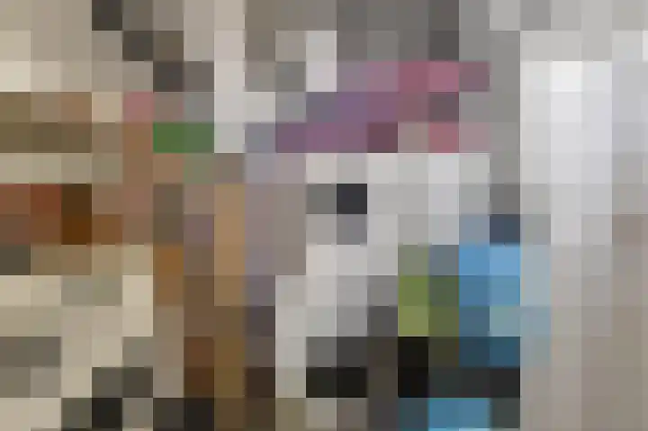 Arendonksingel 54 Amsterdam thumbnail 26