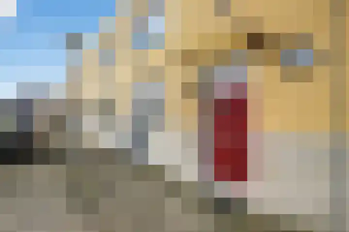 Arendonksingel 54 Amsterdam thumbnail 27