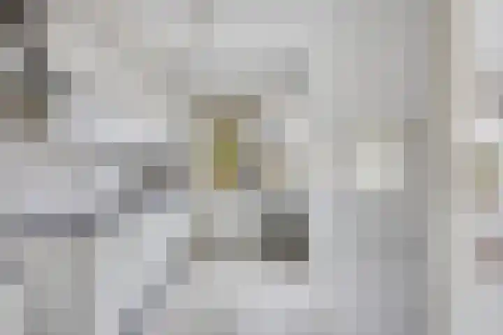 Arendonkstraat 14 Eindhoven thumbnail 12