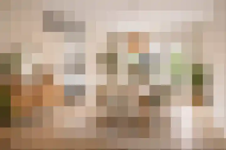 Arendonkstraat 14 Eindhoven thumbnail 18