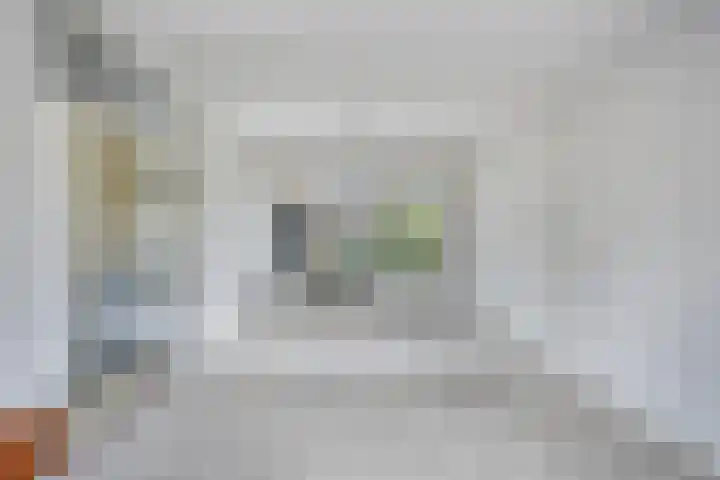 Arendonkstraat 14 Eindhoven thumbnail 19