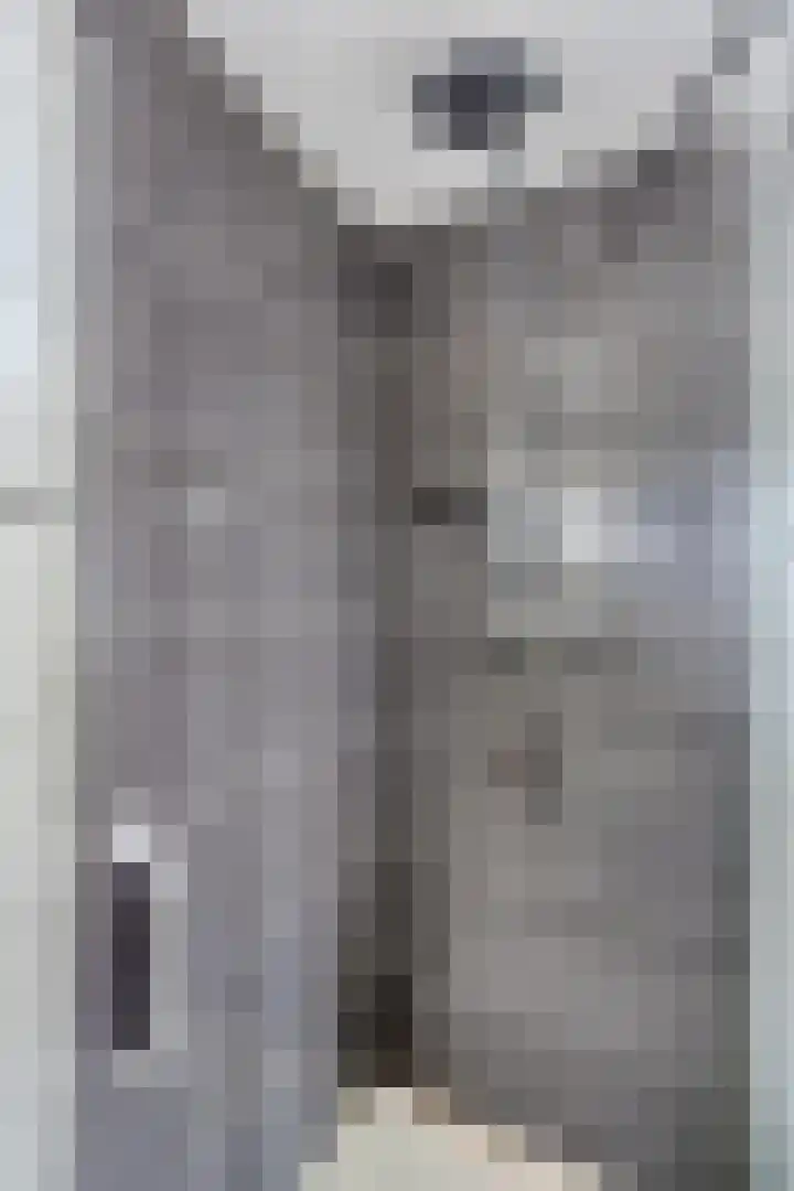 Arendonkstraat 14 Eindhoven thumbnail 24