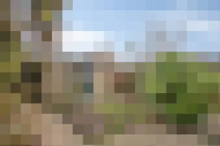 Arendonkstraat 14 Eindhoven thumbnail 33