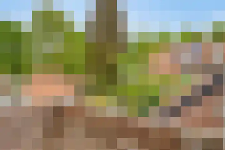 Arendplein 2 Tilburg thumbnail 17