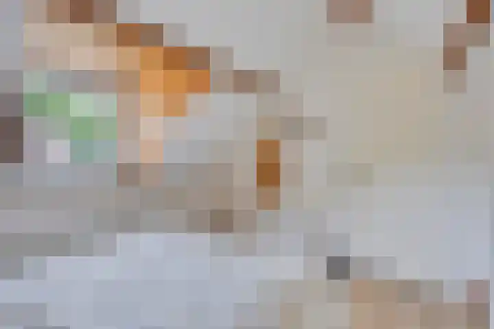 Arendplein 2 Tilburg thumbnail 20