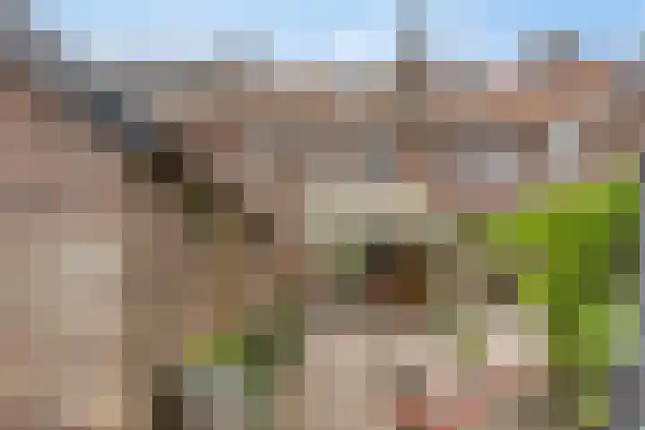 Arendplein 2 Tilburg thumbnail 23