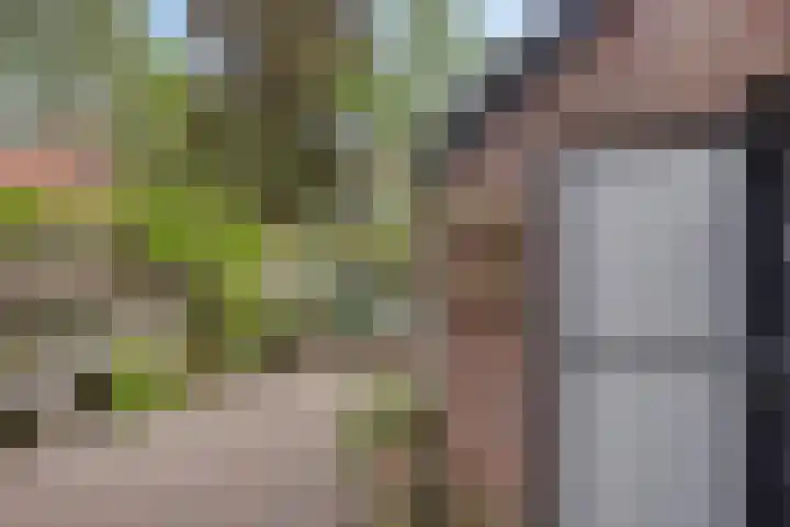 Arendplein 2 Tilburg thumbnail 26