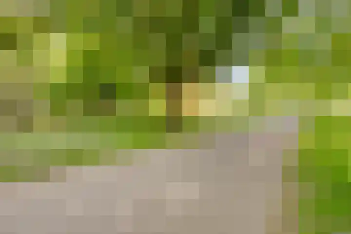 Arendplein 2 Tilburg thumbnail 27