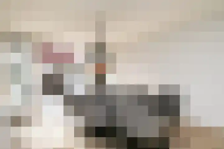 Arendplein 23 Tilburg thumbnail 13