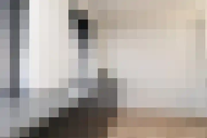 Arendplein 23 Tilburg thumbnail 16