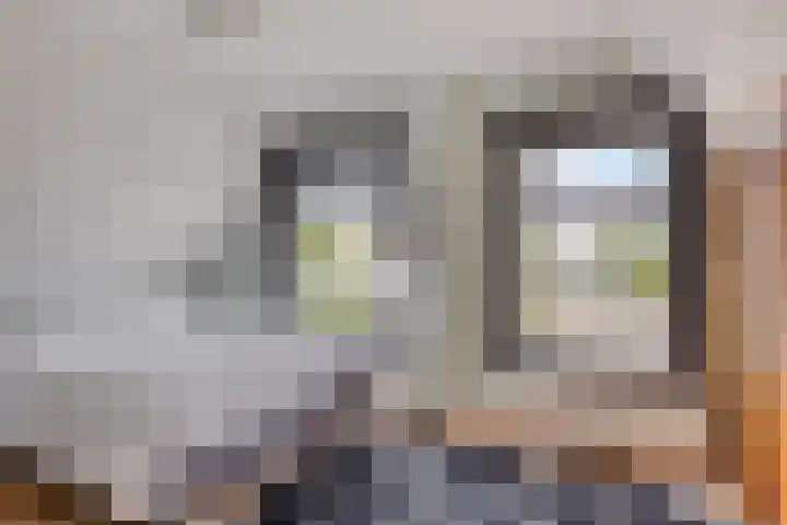 Arendsboerweg 2 Almelo thumbnail 16