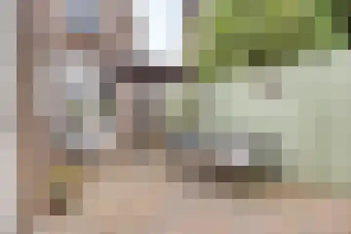 Arendsboerweg 2 Almelo thumbnail 23