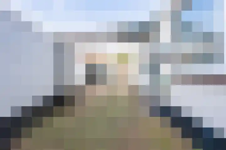 Arendsboerweg 42 Almelo thumbnail 22