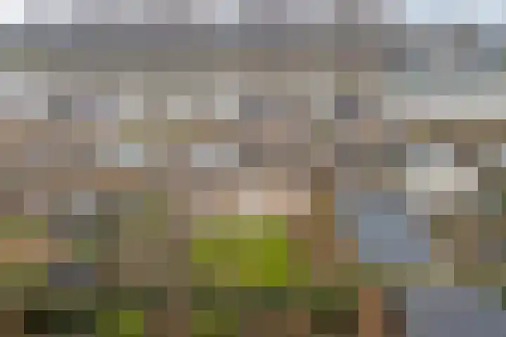 Arendschelling 35 Dronten foto 2