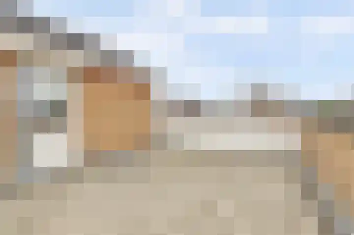 Arendschelling 35 Dronten thumbnail 31