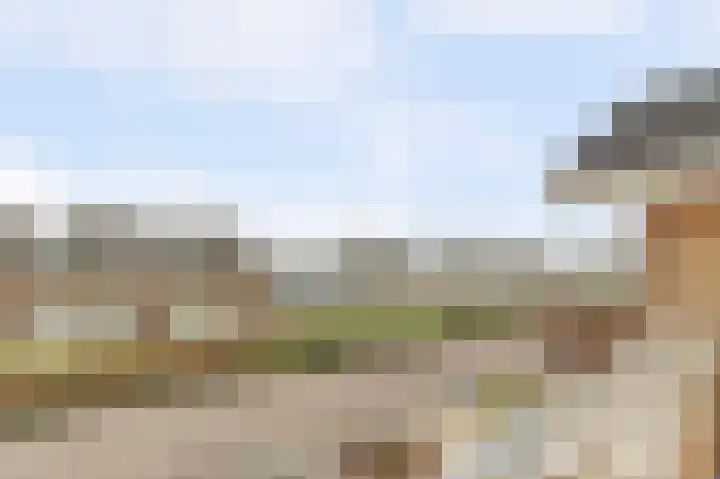 Arendschelling 35 Dronten thumbnail 32