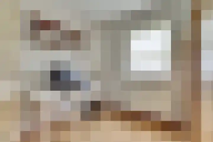 Arendschelling 35 Dronten thumbnail 33