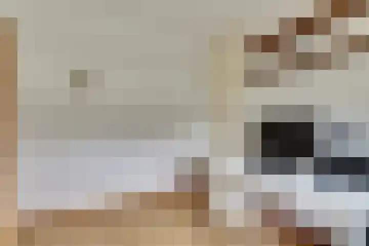 Arendschelling 35 Dronten thumbnail 34