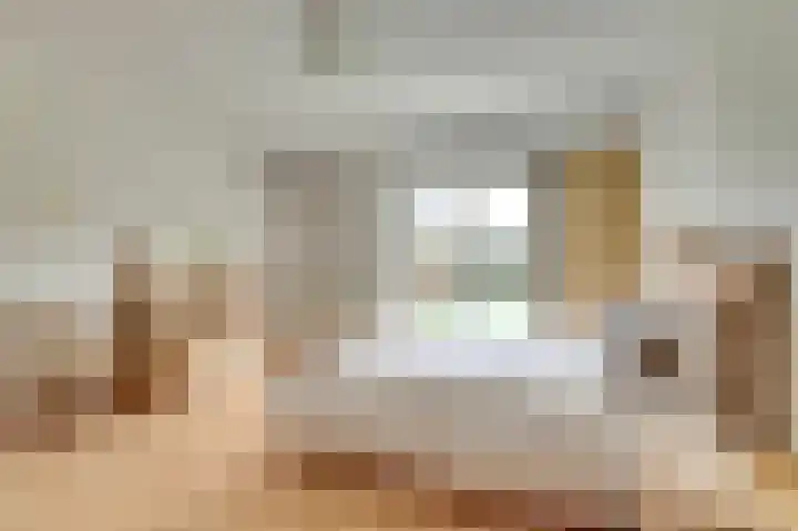 Arendschelling 35 Dronten thumbnail 4