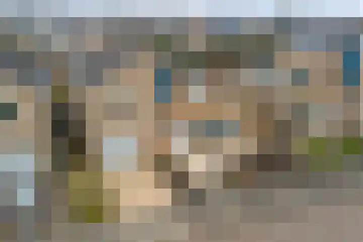 Arendschelling 35 Dronten thumbnail 41