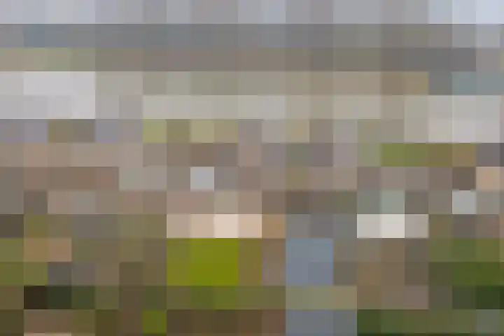 Arendschelling 35 Dronten thumbnail 44