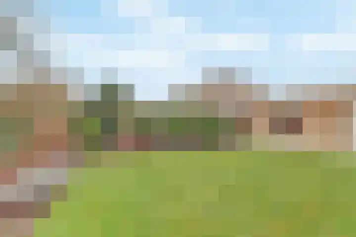 Arendschelling 35 Dronten thumbnail 50