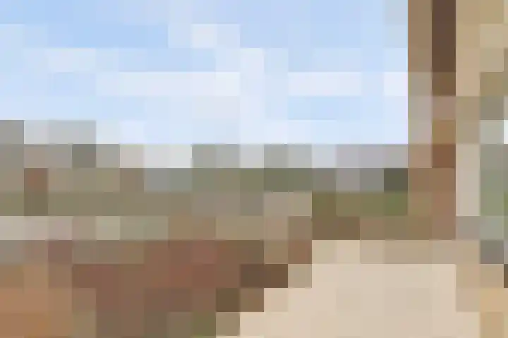 Arendschelling 35 Dronten thumbnail 51