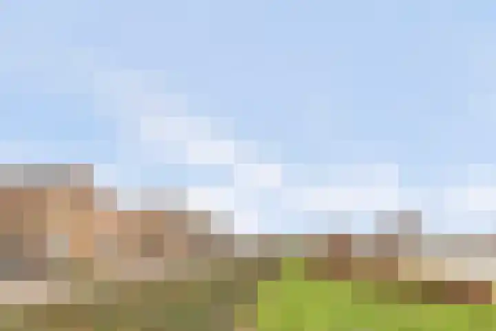 Arendschelling 35 Dronten thumbnail 55