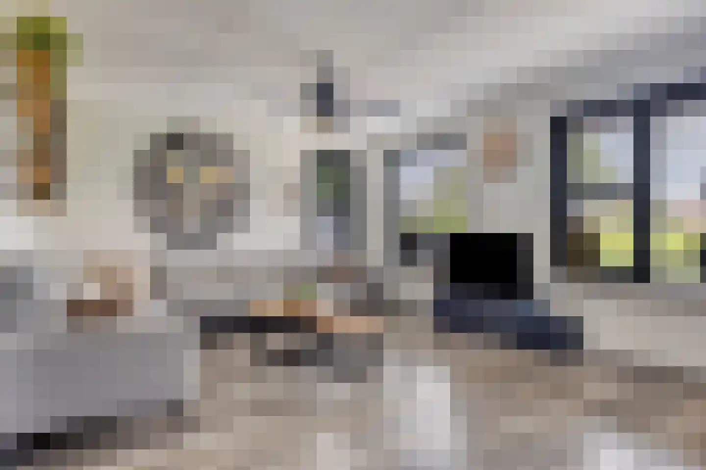 Arendsdaalder 8 Dronten thumbnail 10
