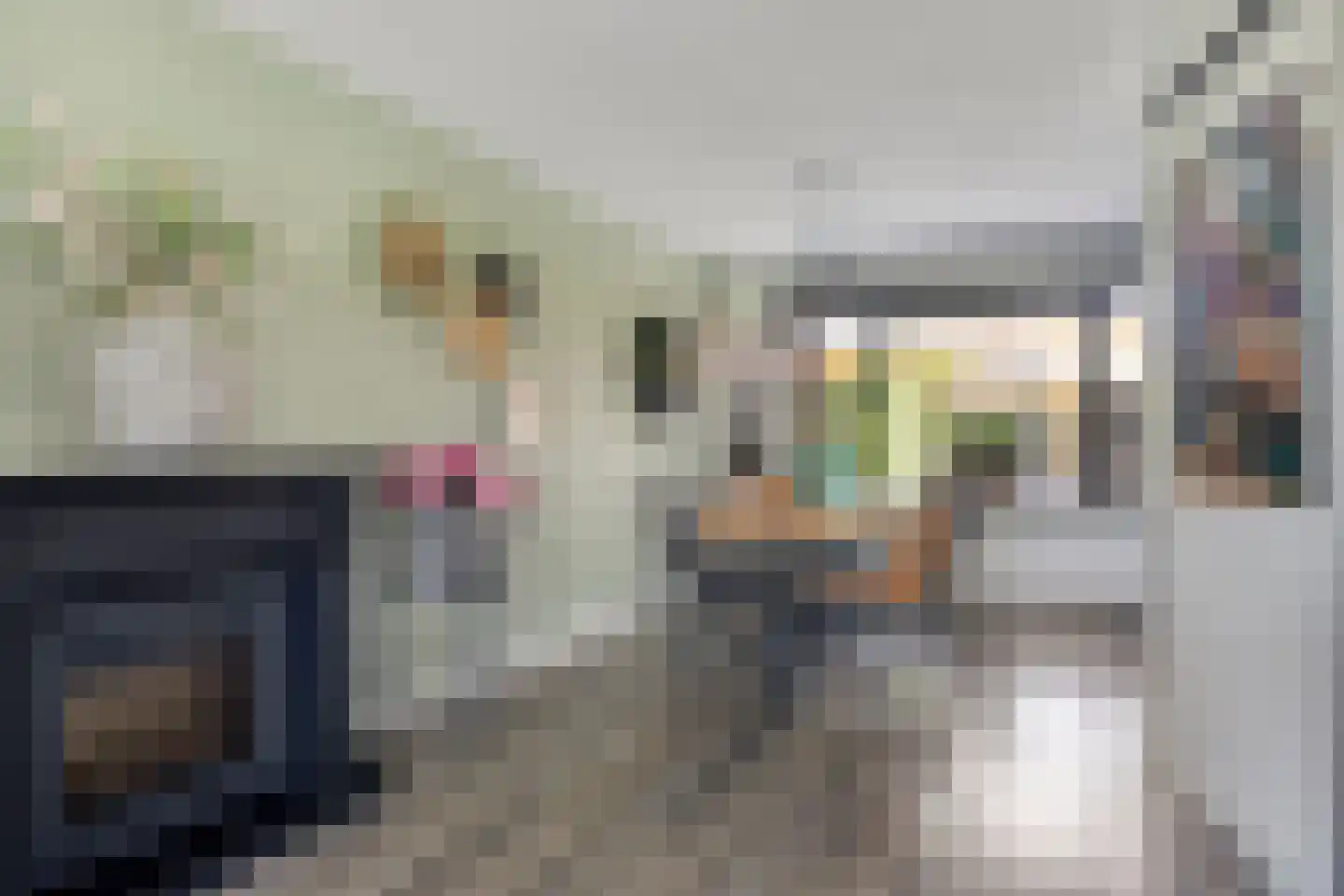 Arendsdaalder 8 Dronten thumbnail 12