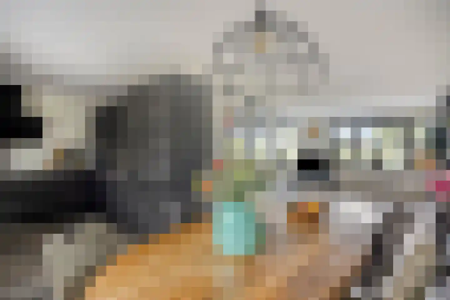 Arendsdaalder 8 Dronten thumbnail 13