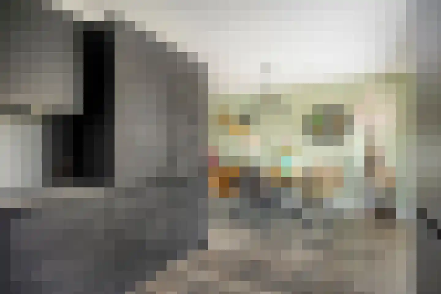 Arendsdaalder 8 Dronten thumbnail 16