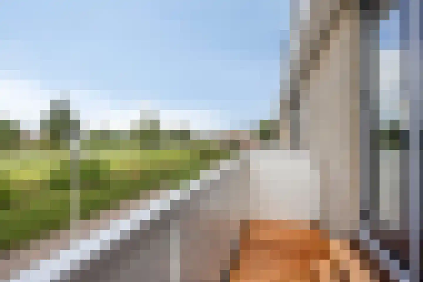 Arendsdaalder 8 Dronten thumbnail 24