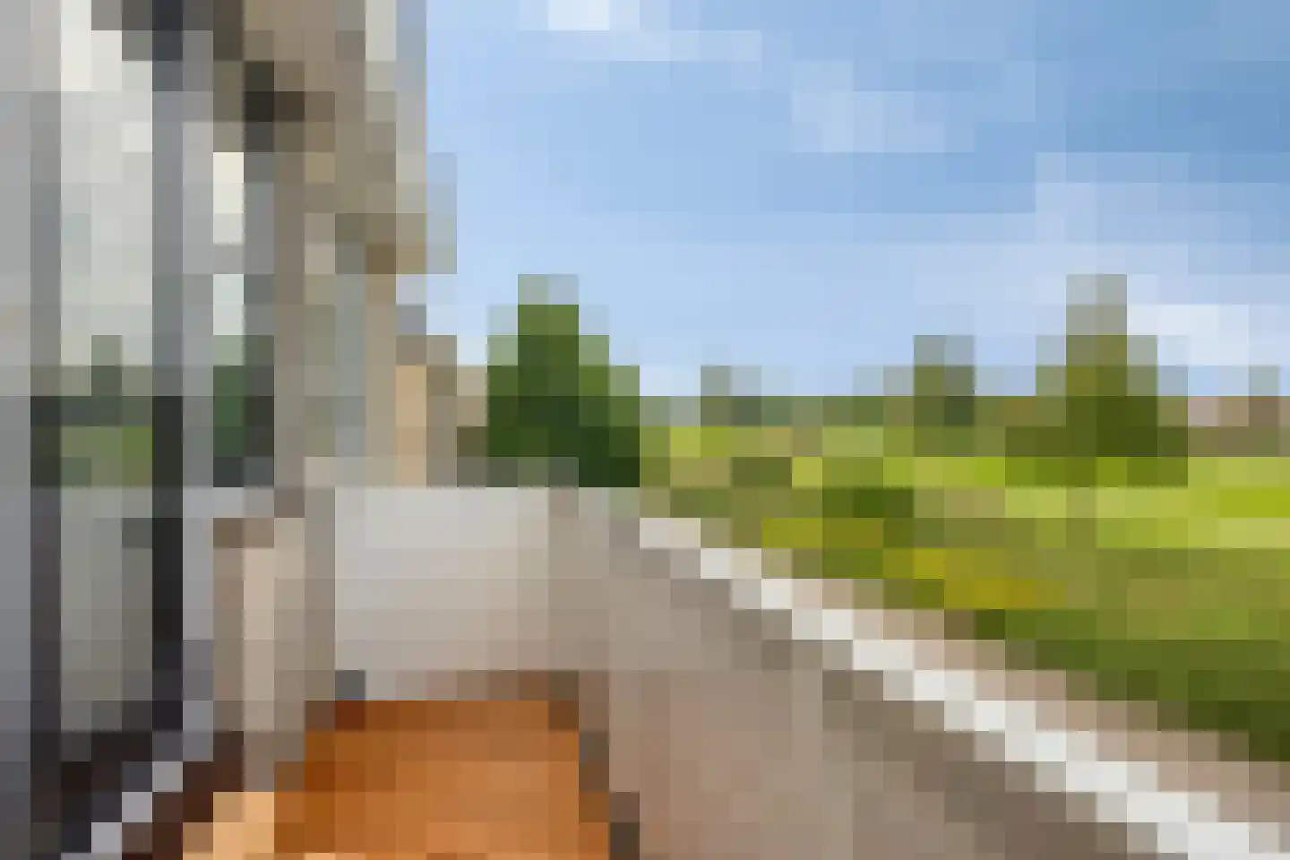 Arendsdaalder 8 Dronten thumbnail 25