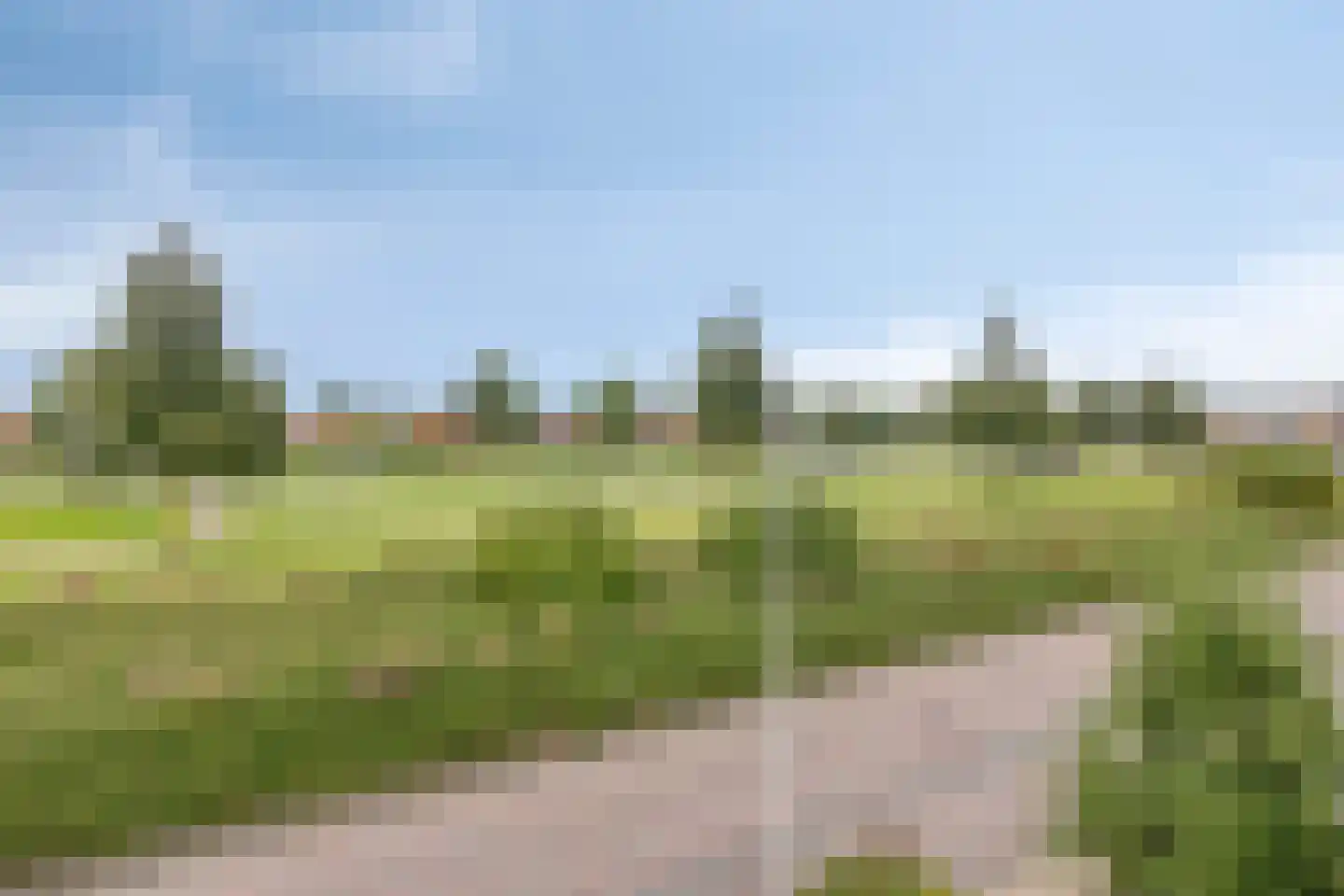Arendsdaalder 8 Dronten thumbnail 26